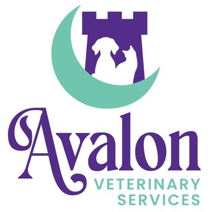 Avalon Vet Services