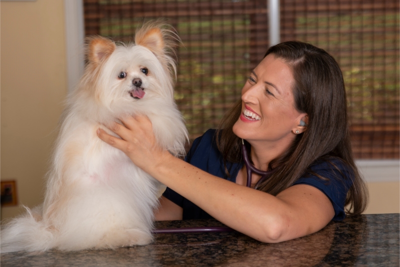 About Our Practice in Serving Manatee County & Sarasota County